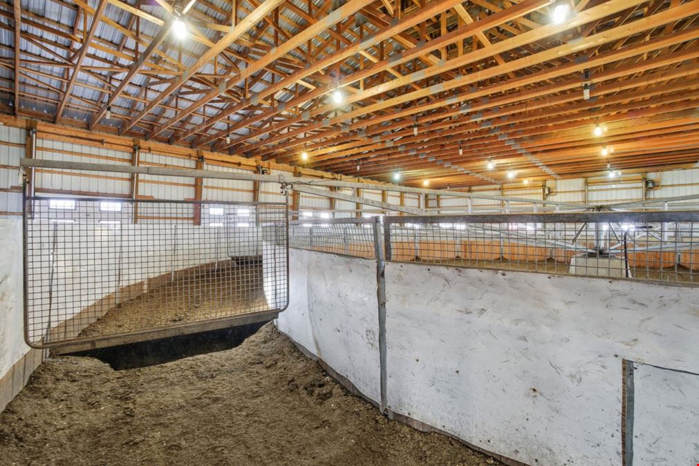 World-Class Equestrian in Central Alberta (Canada)