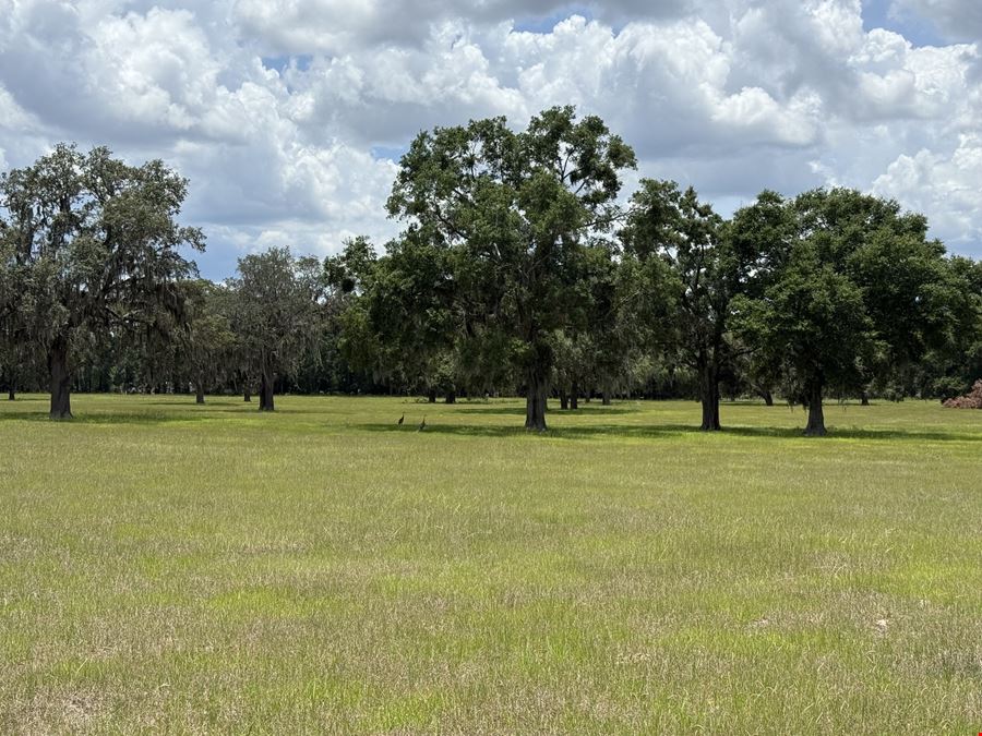 72± Acre Marion County Ranchette