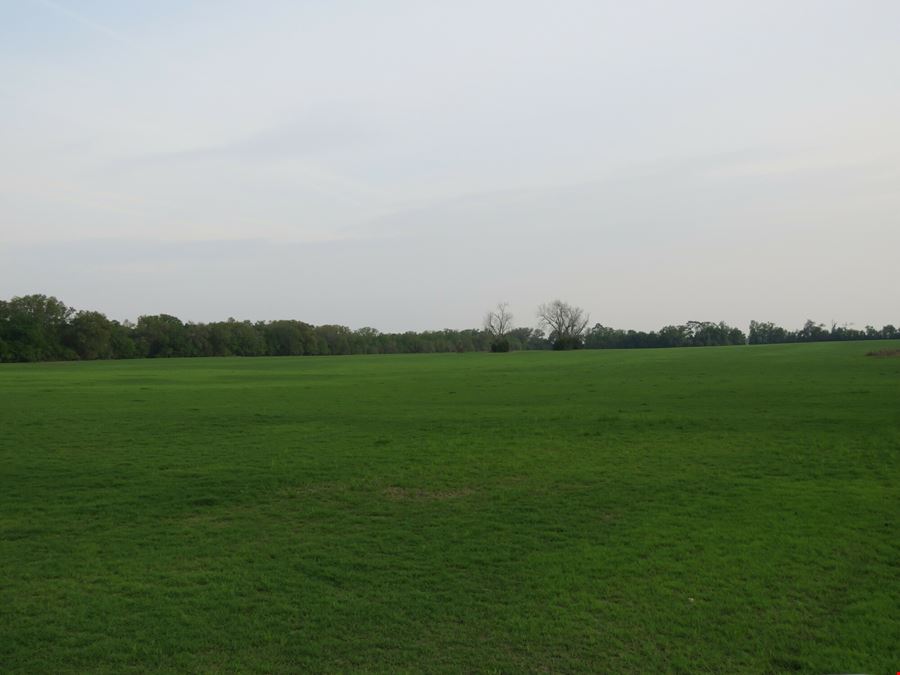 Suwannee County Farm