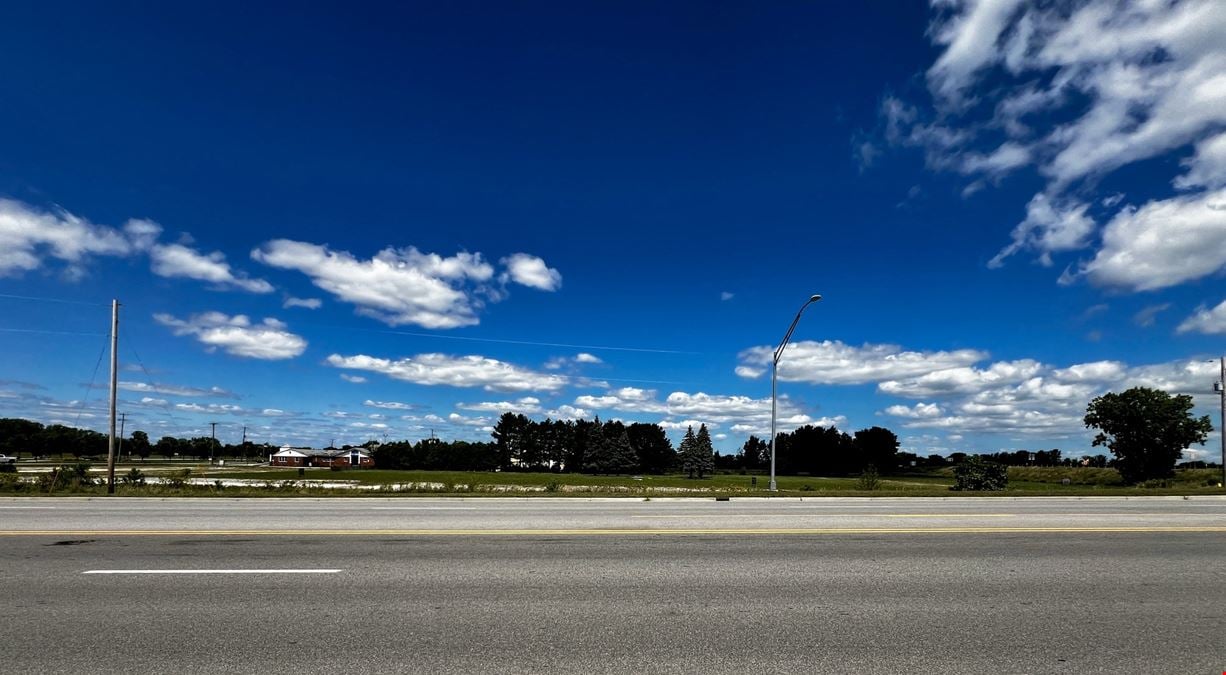 Buena Vista M-46 at I-75  Development Land