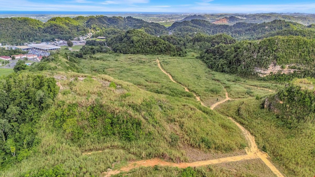 73 Developable Acres in Dorado - For Sale