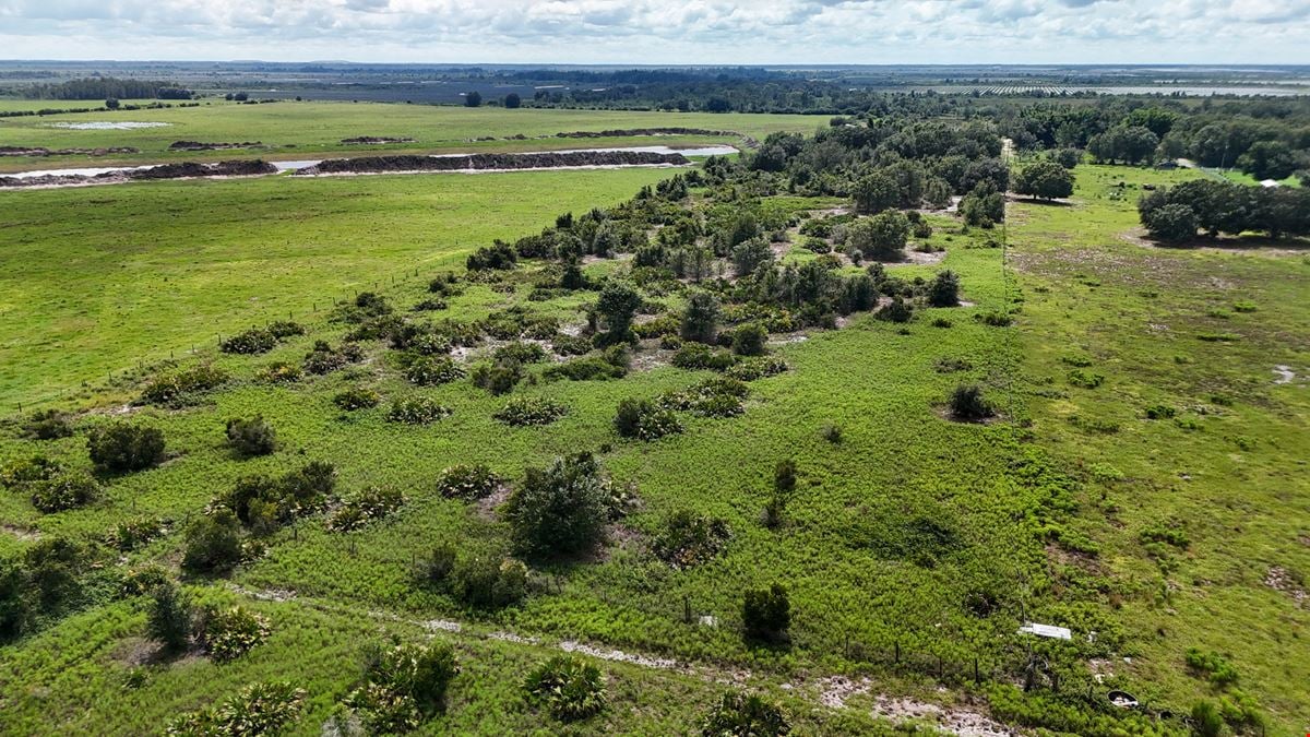 Hopkins Lane 7 Acres
