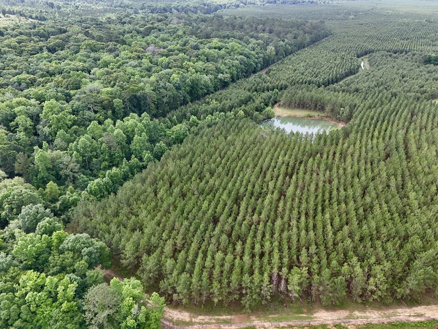 10 Shy Ranch and Timber