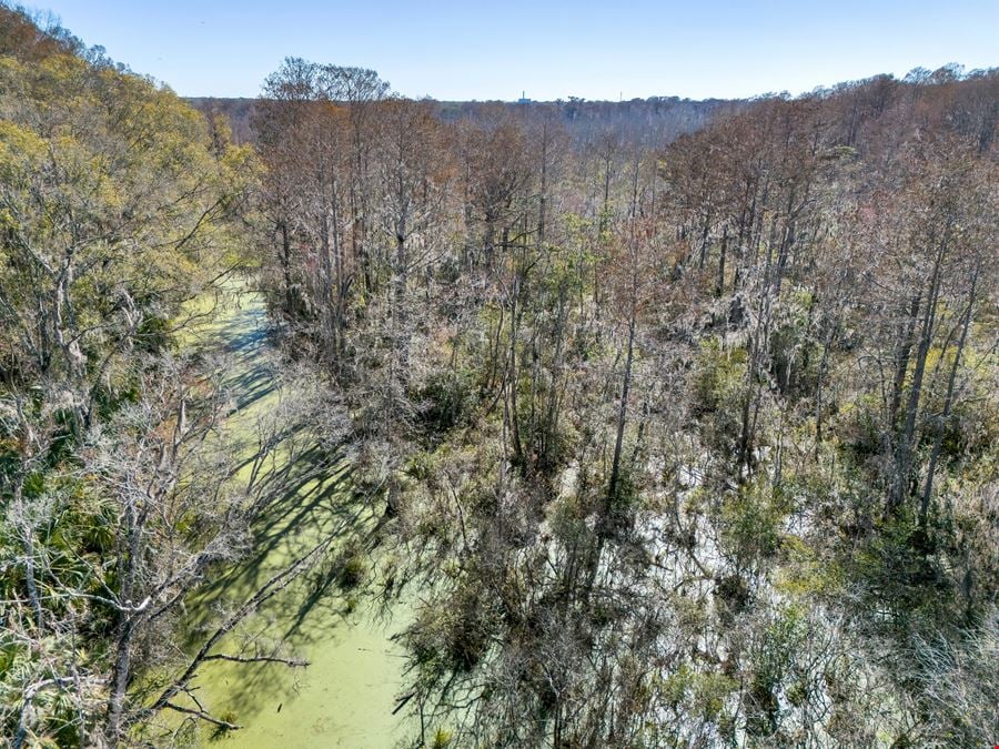 Leesburg 80-Acre Recreational Tract