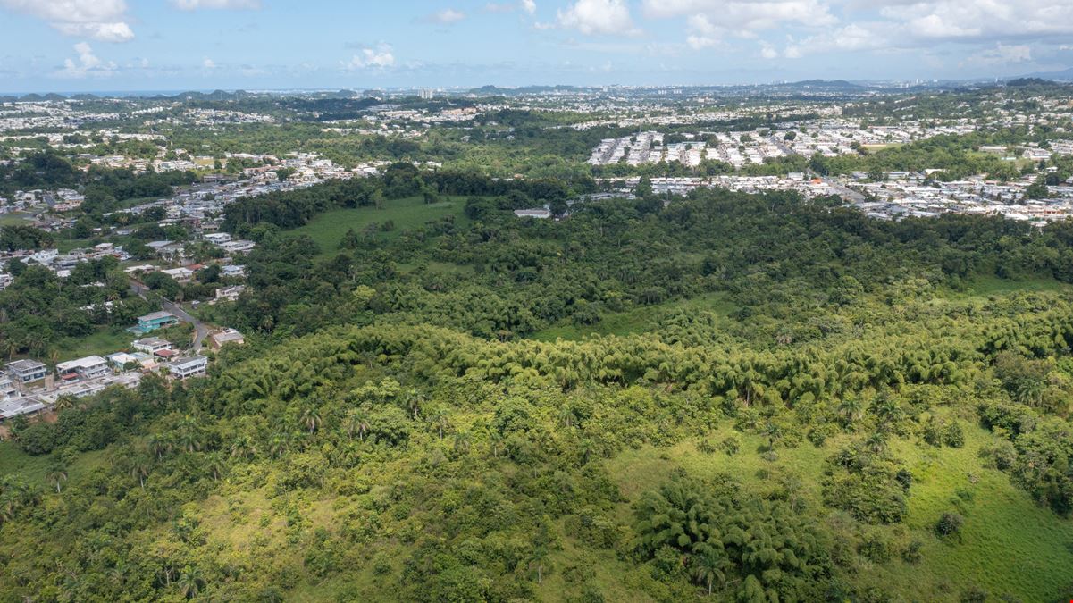 176 Acres of Residential Development Land in Toa Alta FOR SALE