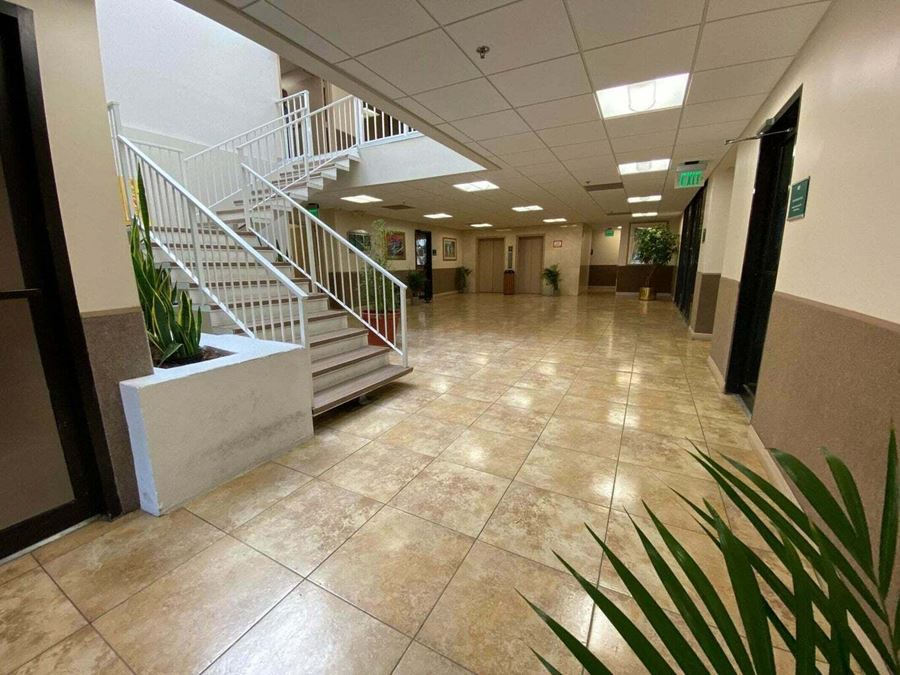 The Professional Plaza