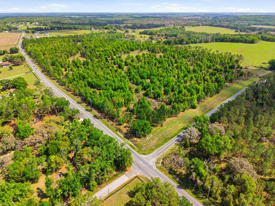Spring Lake Reserve Ranch