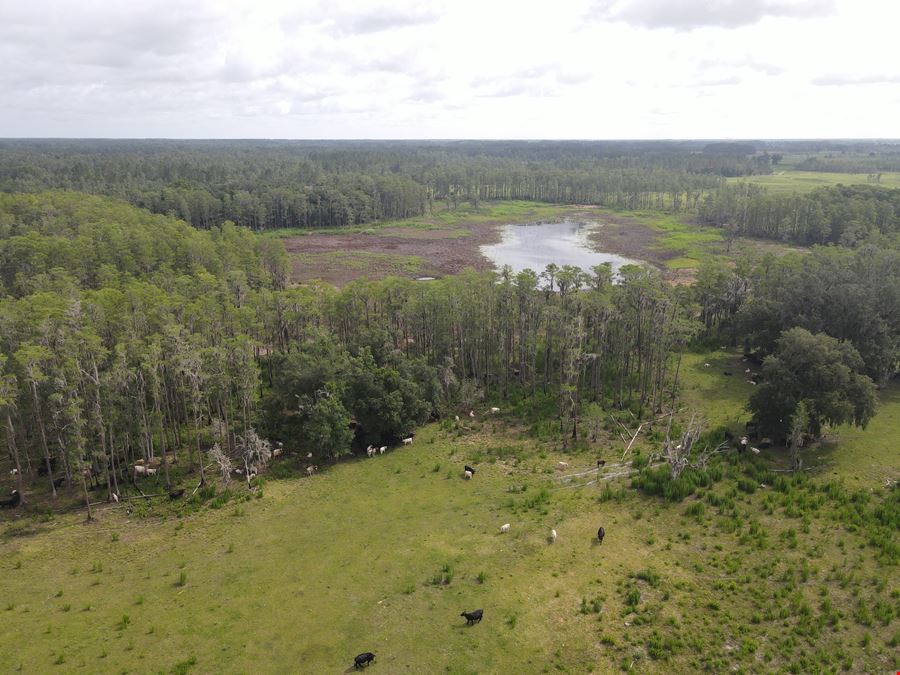 Waters Pond Ranch