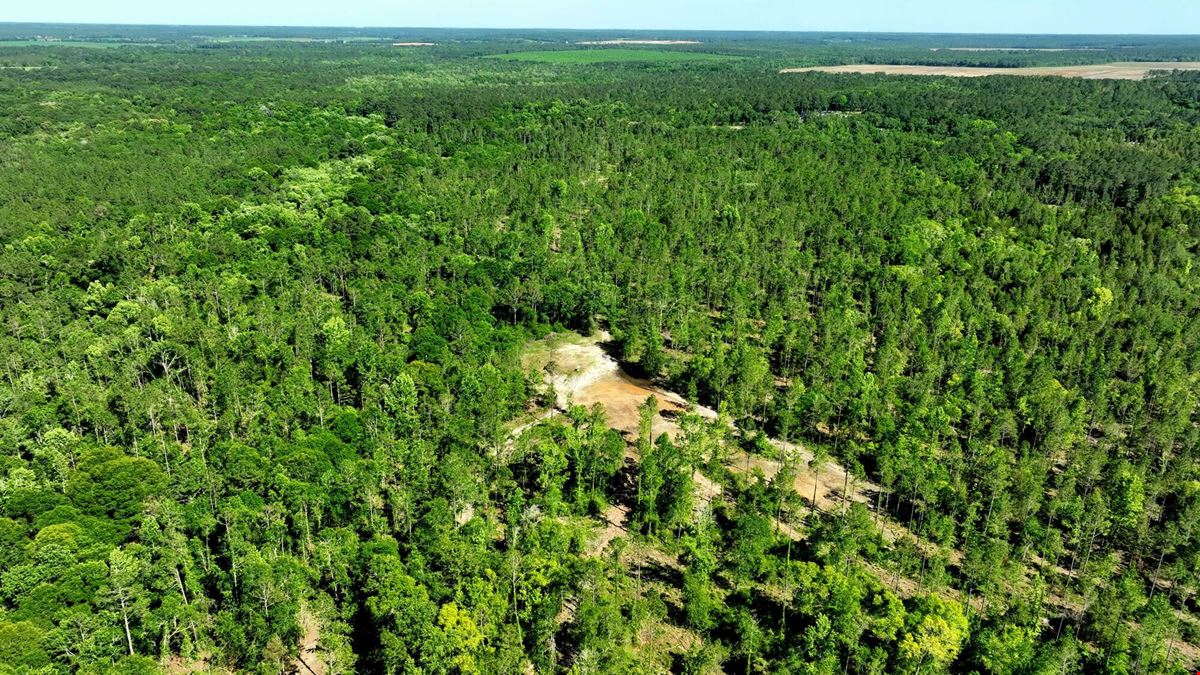 Raccoon Creek Hunting & Timber