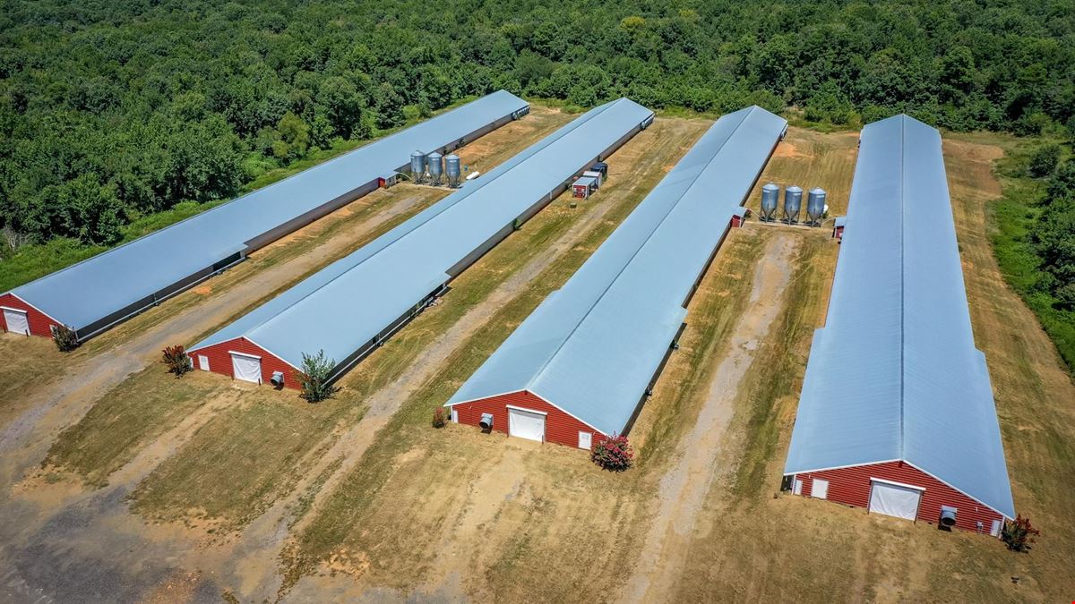 Mena AR Broiler Chicken Farm