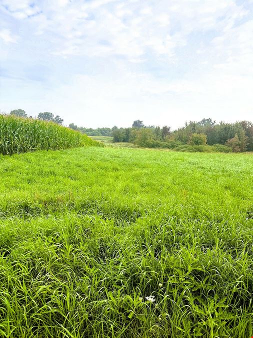 49.86 Acres AG Vacant Land in Chelsea
