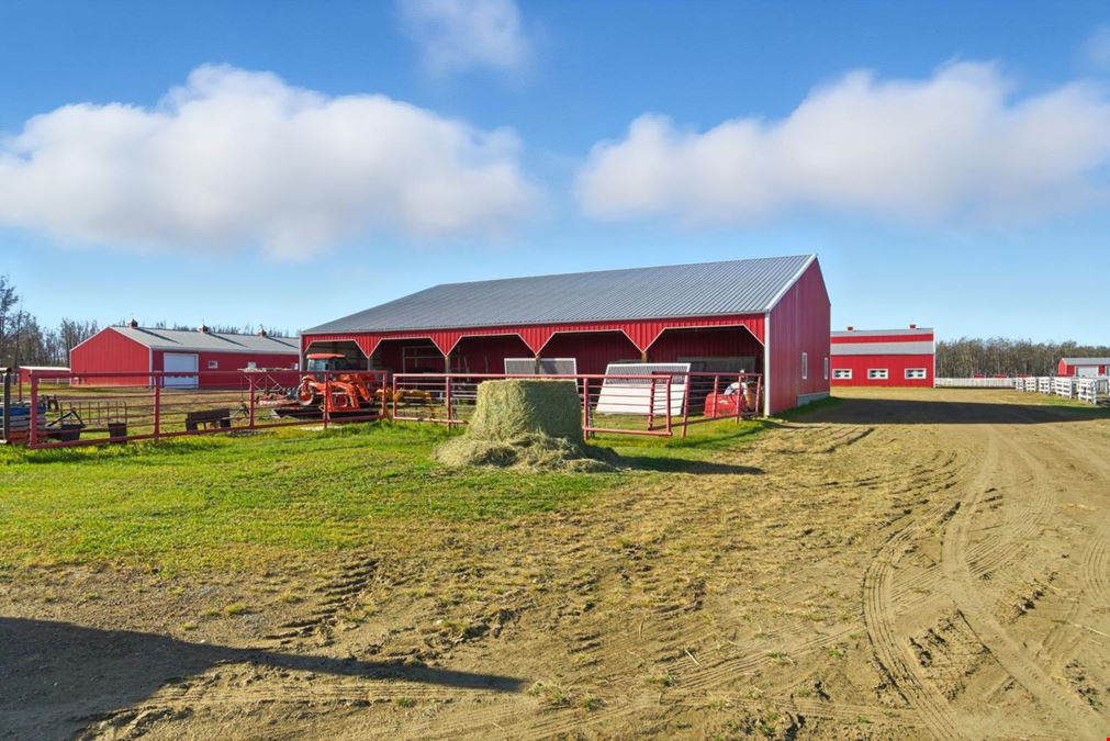 World-Class Equestrian in Central Alberta (Canada)