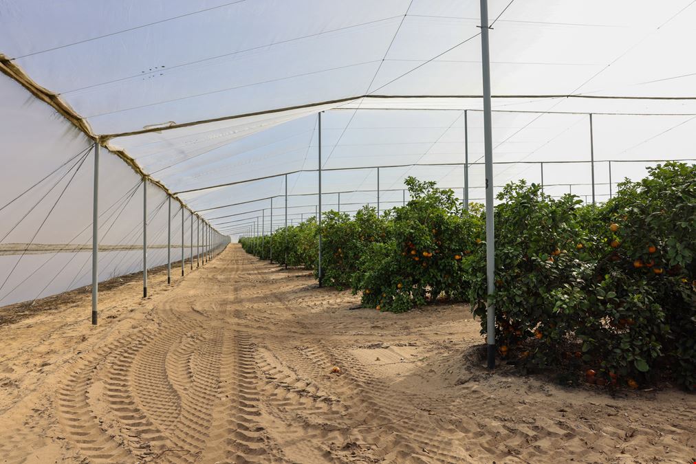Florida Rubies Agricultural Investment Property