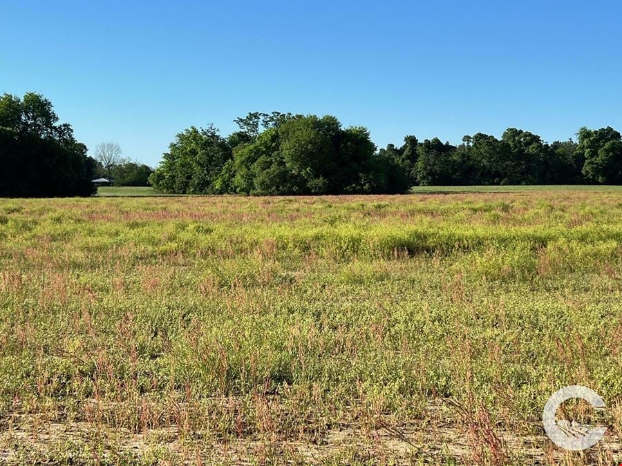 21.97 Acres of Versatile Land Near Florida & Georgia - Ideal for Homes, Recreation, and Investment