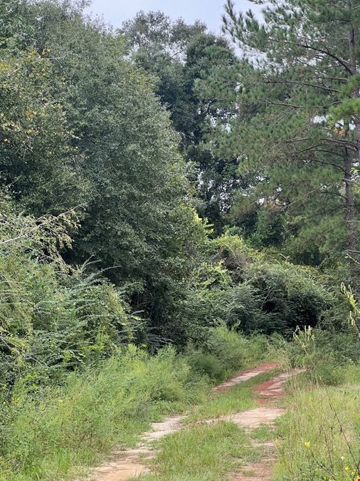 61 +/- Acres AG Land / Homesite in Columbia, AL