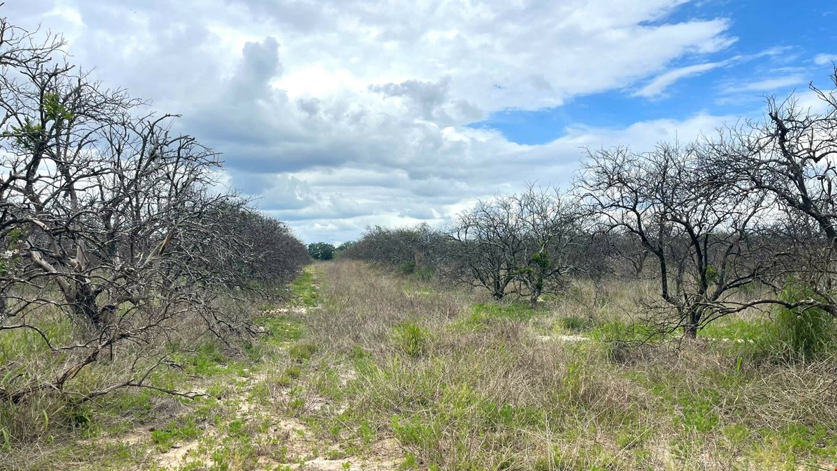 Underpass Road 74 ± Acre Land Opportunity