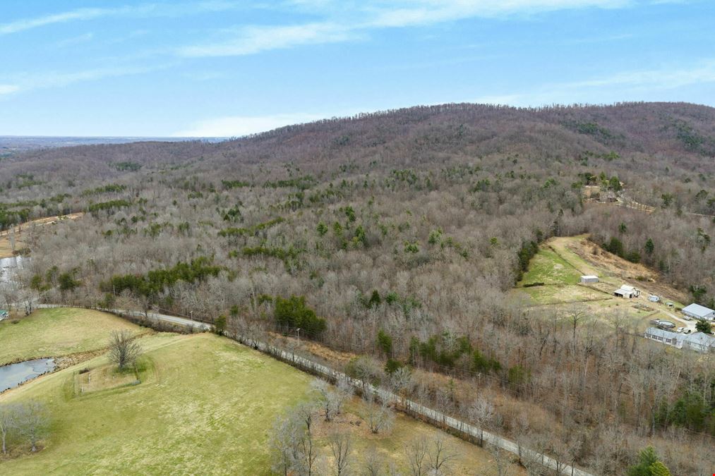 78.08 Acres - Winfield, TN