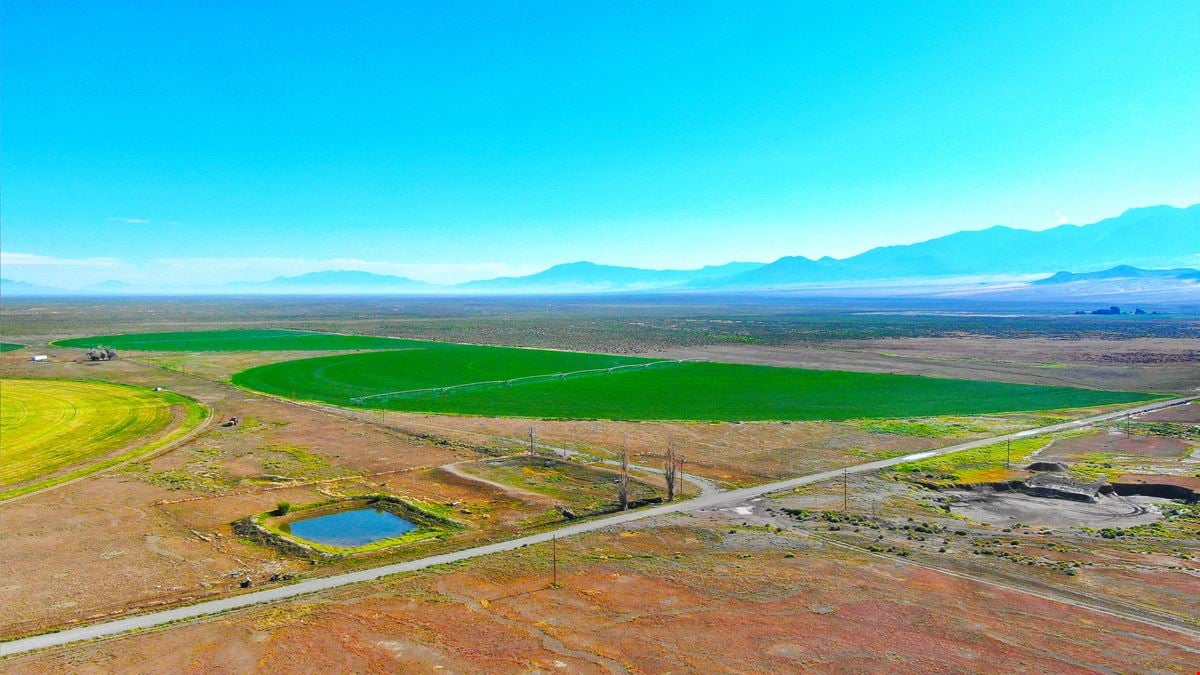 Nye County NV Alfalfa Farm with Pivots, Water Rights