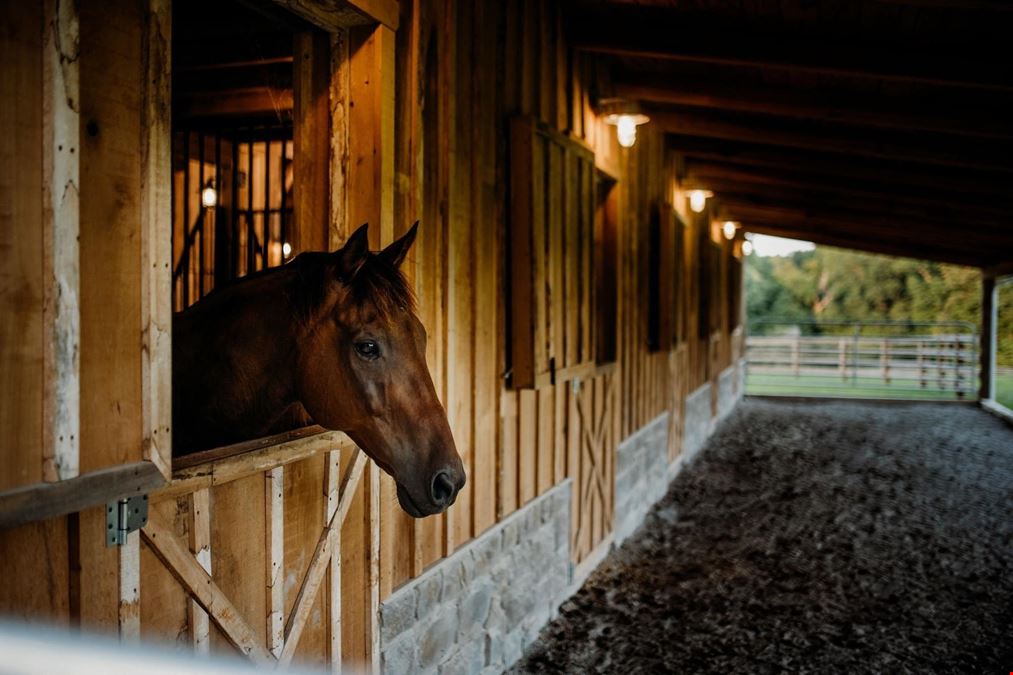 Premier event venue and equestrian facility