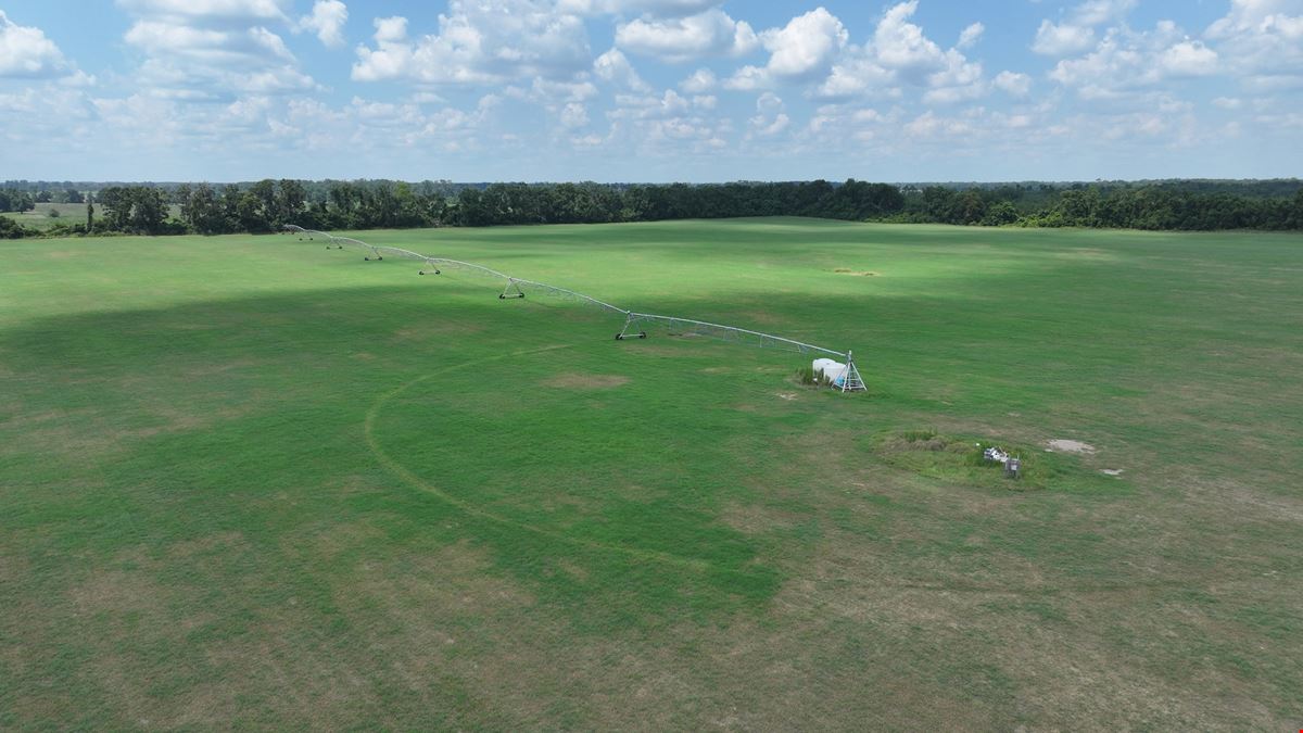 Suwannee County Quarter Section Farm