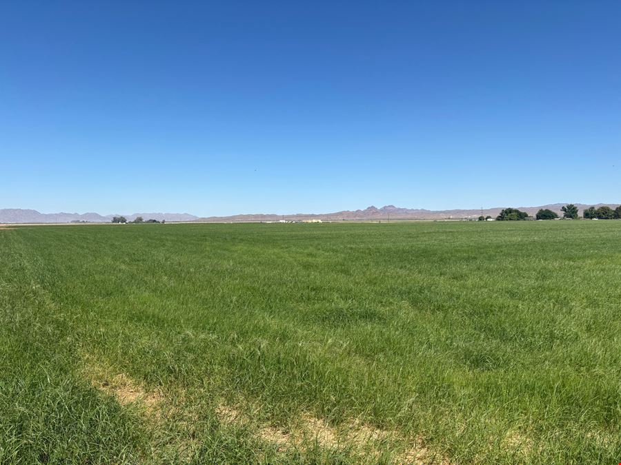 Excellent Vegetable Farmland: ±110 Water Acres in Wellton