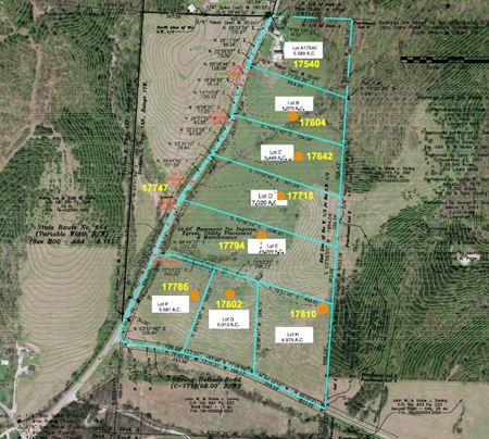 Preview of VacantLand space for Sale at 17540 Ohio 664