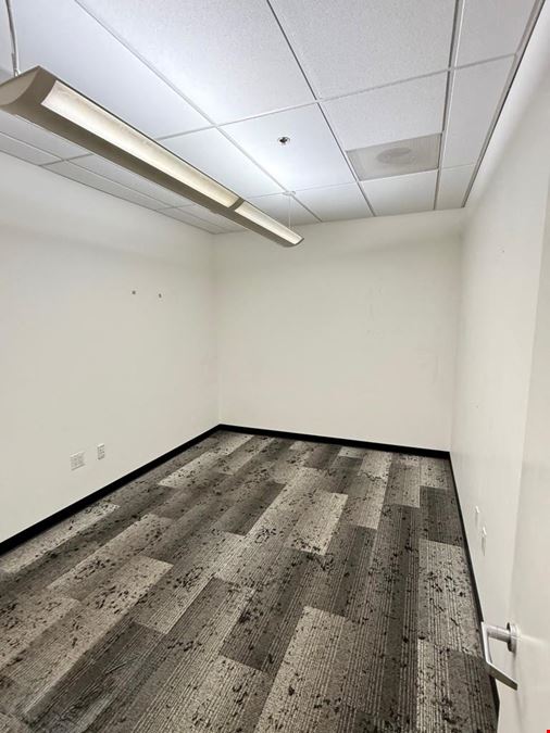 3100 Camino Del Sol