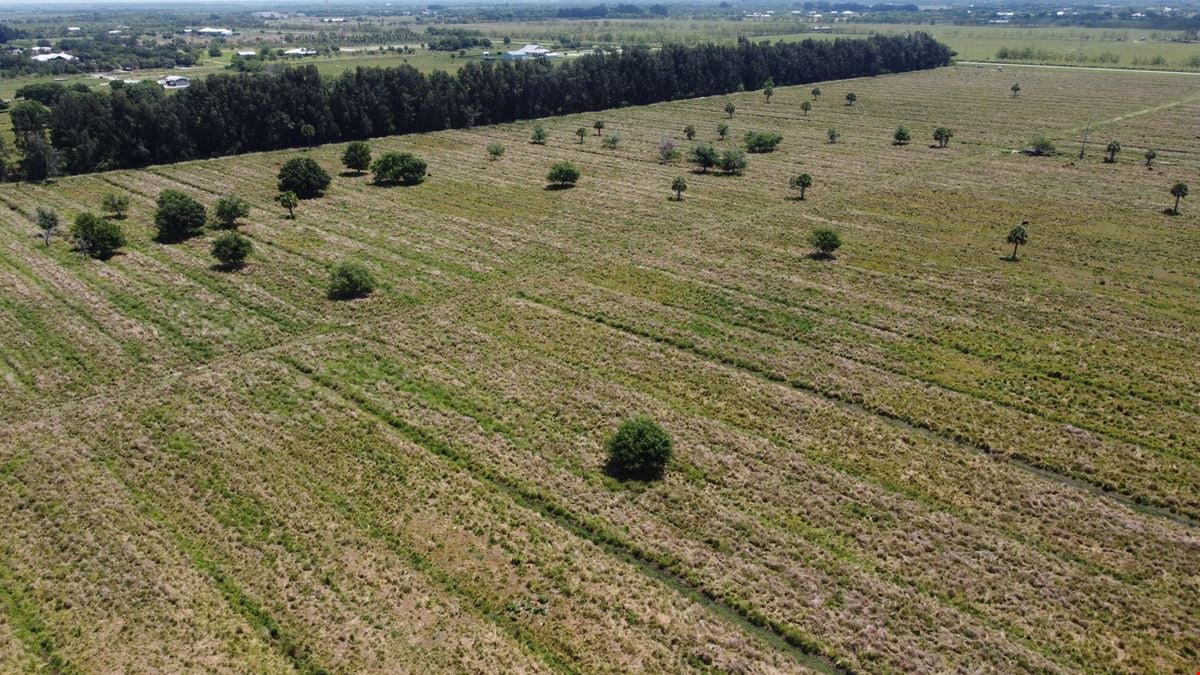 St Lucie Header Canal 76 Acres