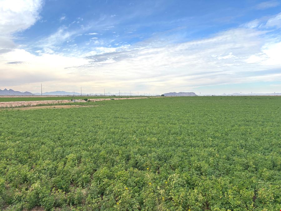 400 Acre Pump Farm in Tacna, Avenue 41 E and County 7 St S
