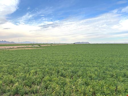 Preview of VacantLand space for Sale at 400 Acre Pump Farm in Tacna, Avenue 41 E and County 7 St S