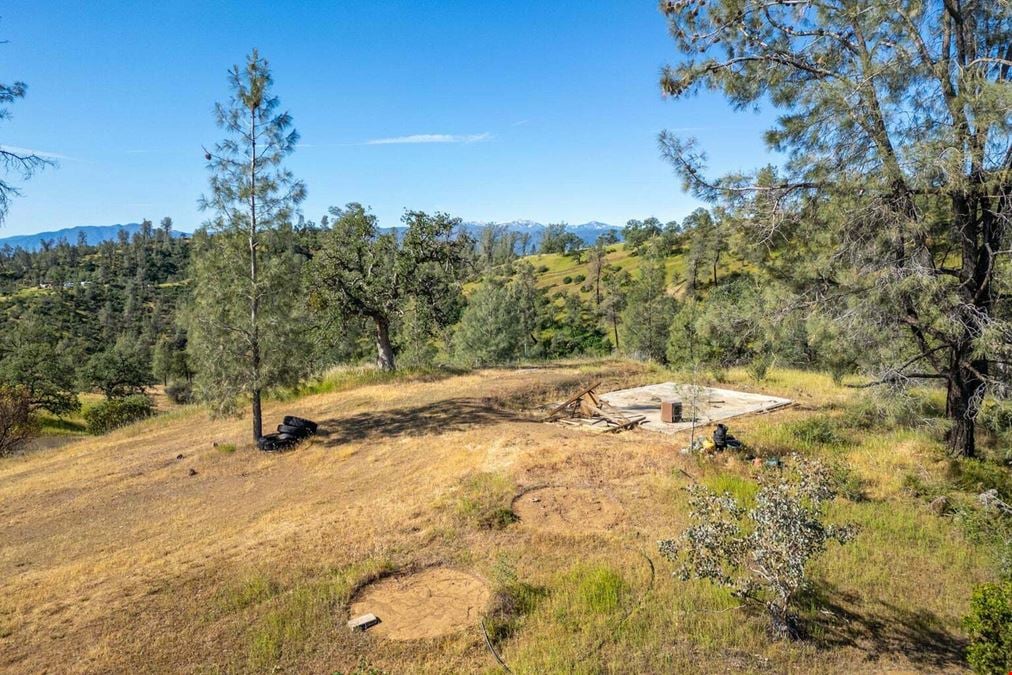 ±20 Acres of Level Land in Igo, CA