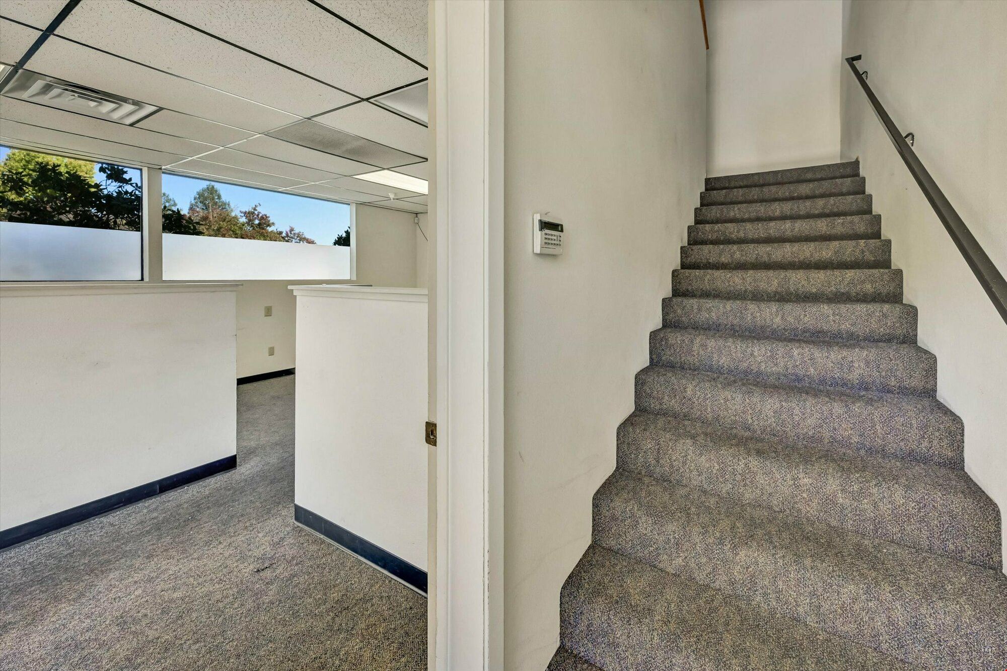 529 Martin Avenue