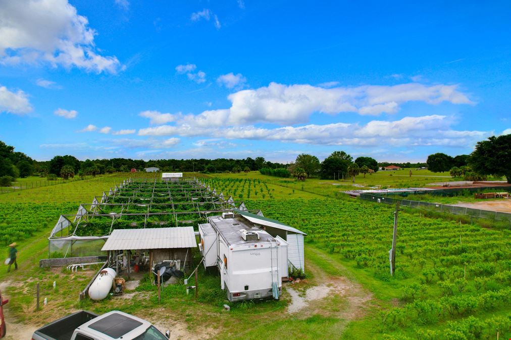 Organic Farm