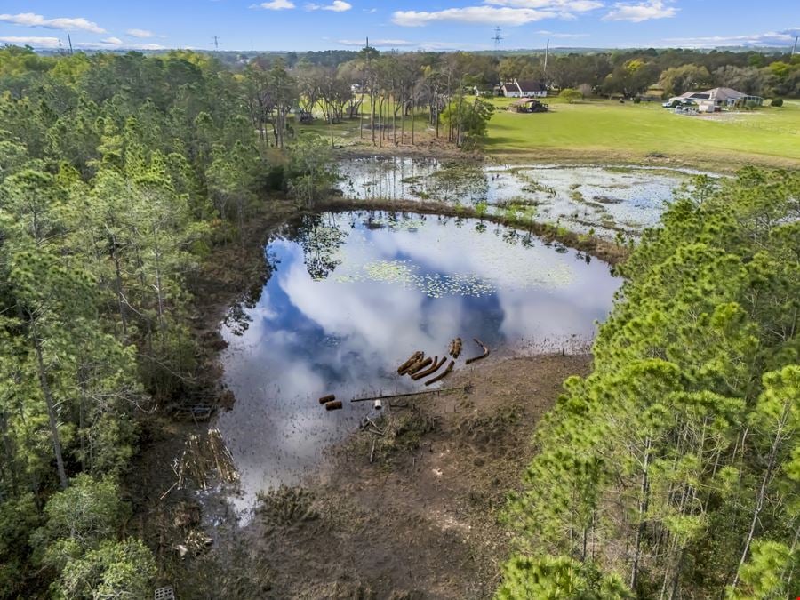 Frank von Frankenstein 21 Acre Development Tract