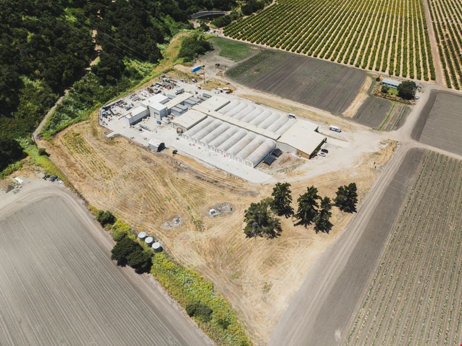 Cultivation Facility ±53,000 SF High Bays