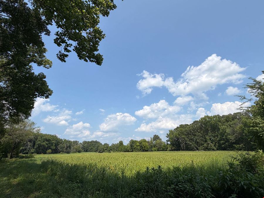 Jordan Andrews Tract
