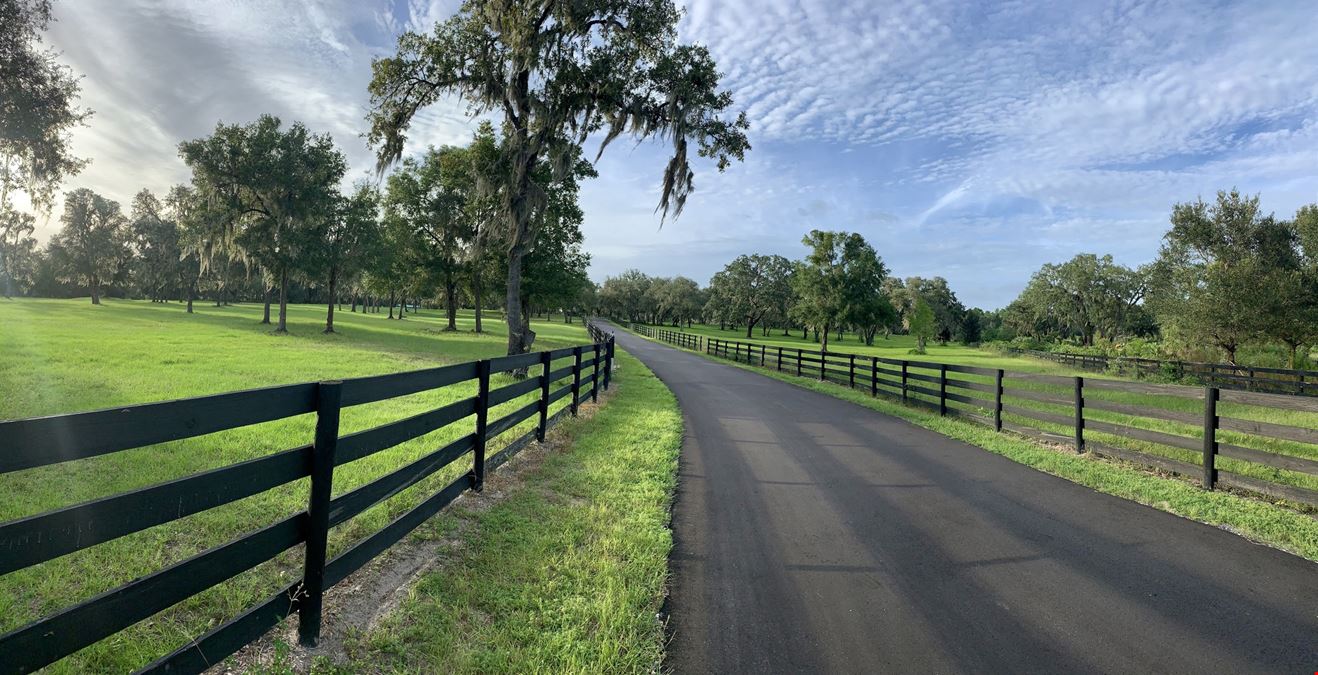 87.4± Acre Eagles Rest Equestrian Estate Near Ocala