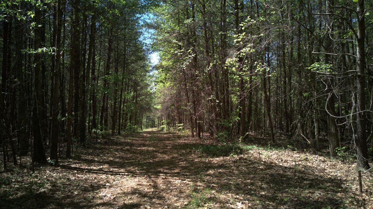 ± 34.48 Unrestricted Acres Near Lake Keowee