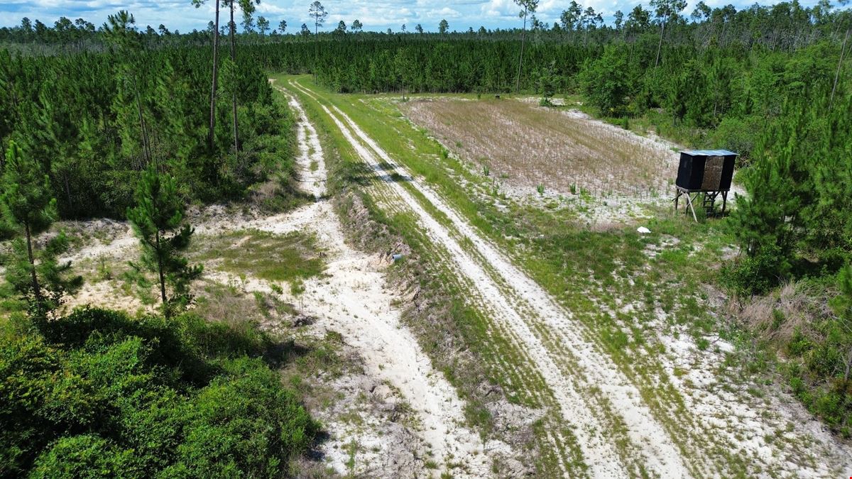 Bay County Acreage