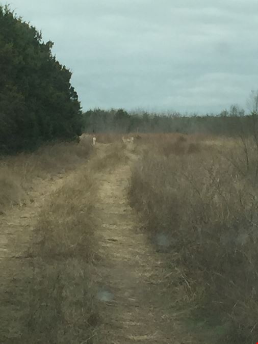 110± Acres on Bulverde Road, Bulverde TX