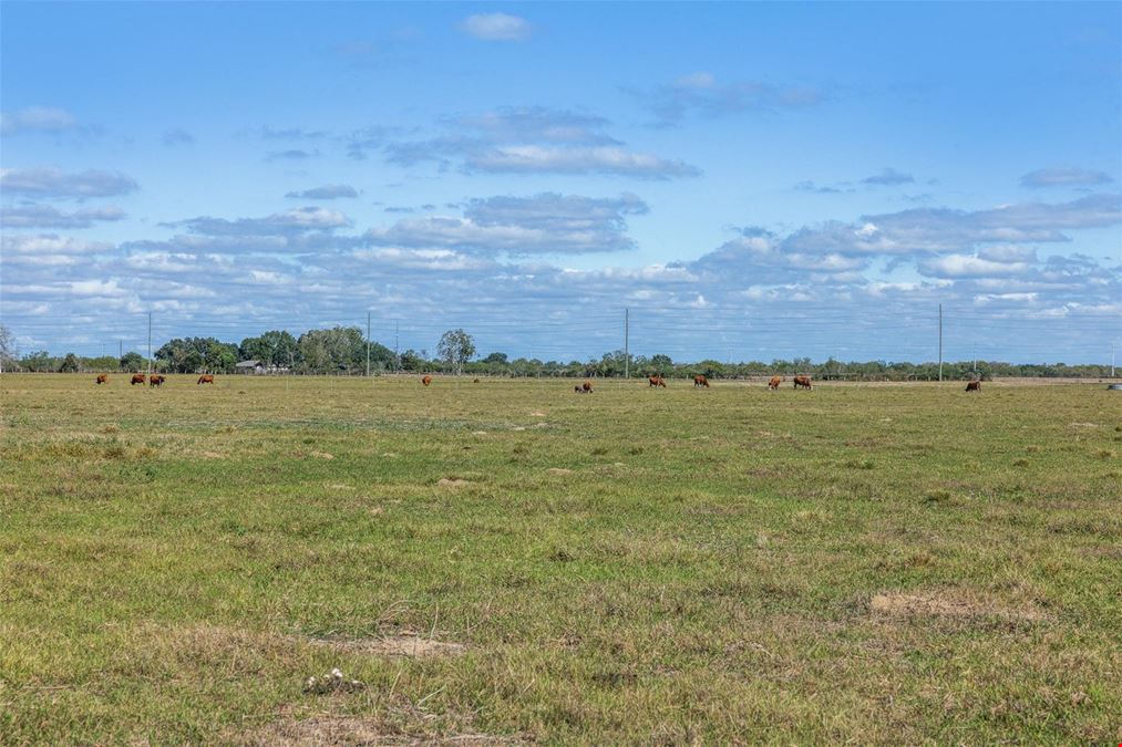 FOR SALE | TBD Johnston Road