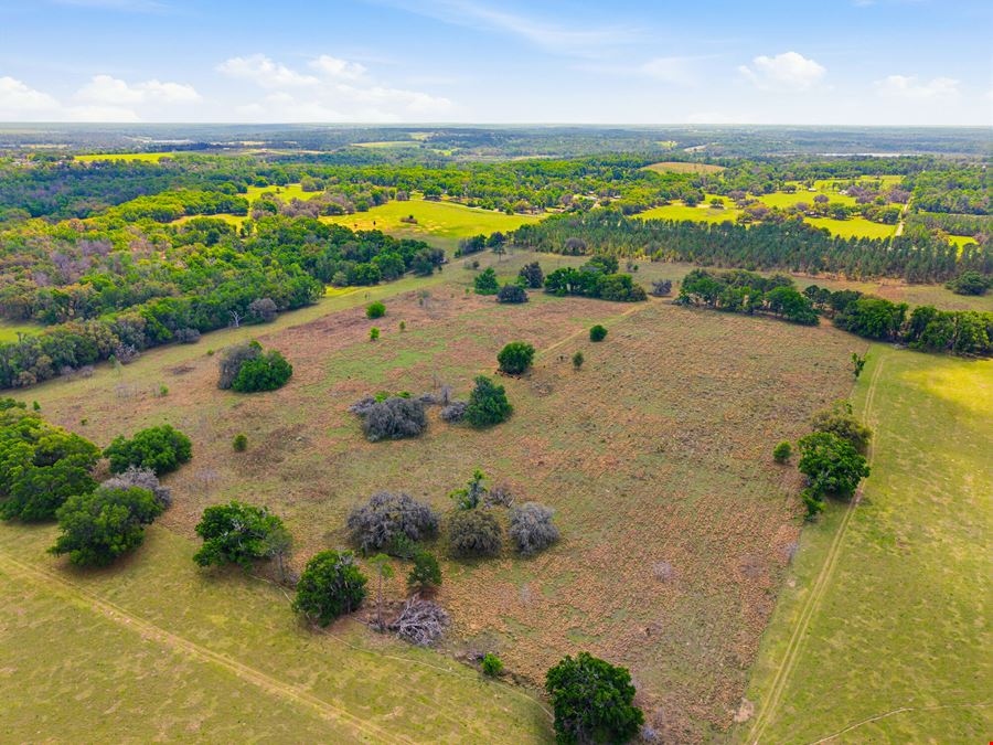 Spring Lake Reserve Ranch