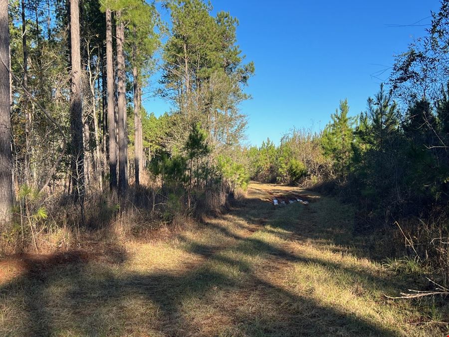 Lily Pad Ranch 1,472± Acres in Northwest Florida – Premier Recreational & Timber Investment Tract