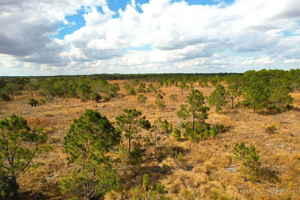 Bluefield Ranch Hunting Preserve