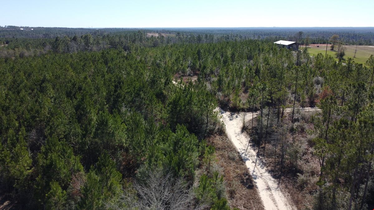 Treetop Ridge Road