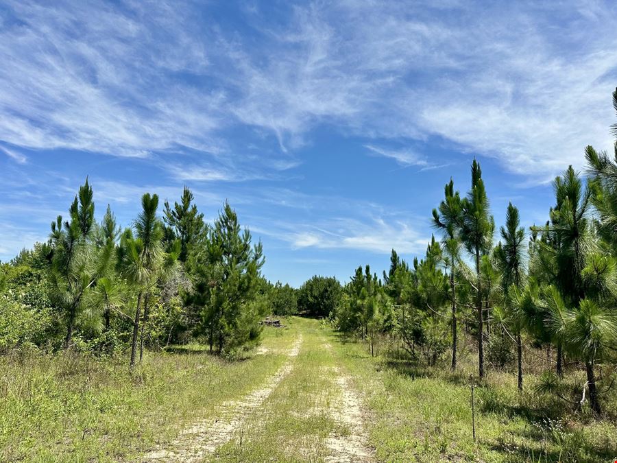 Cowpen Hunting Tract