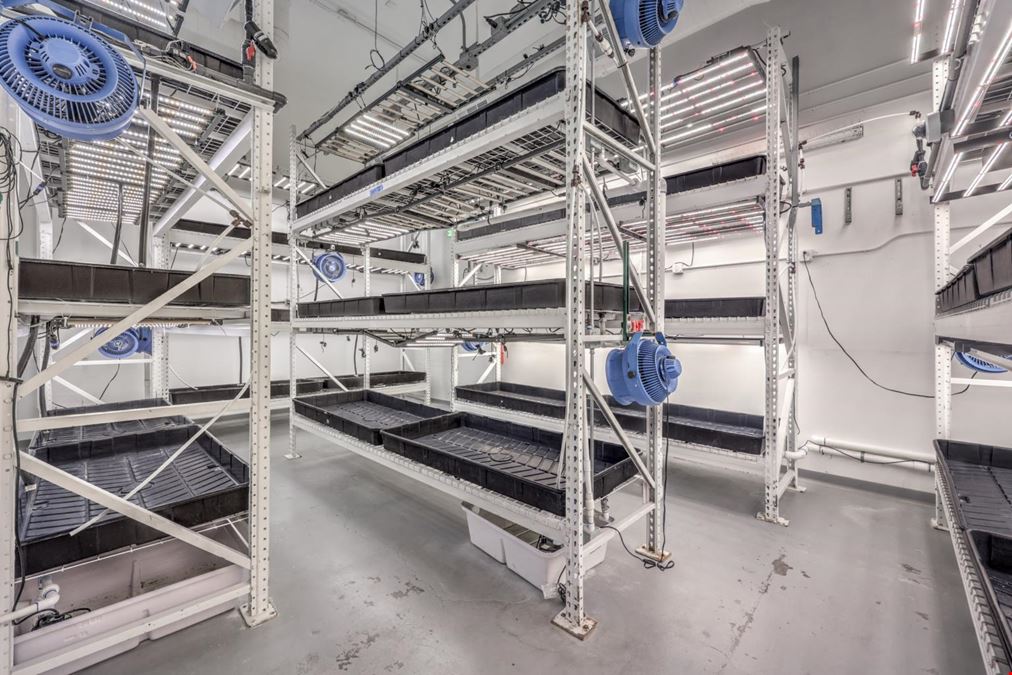 Turnkey - Premier Cannabis Cultivation Facility