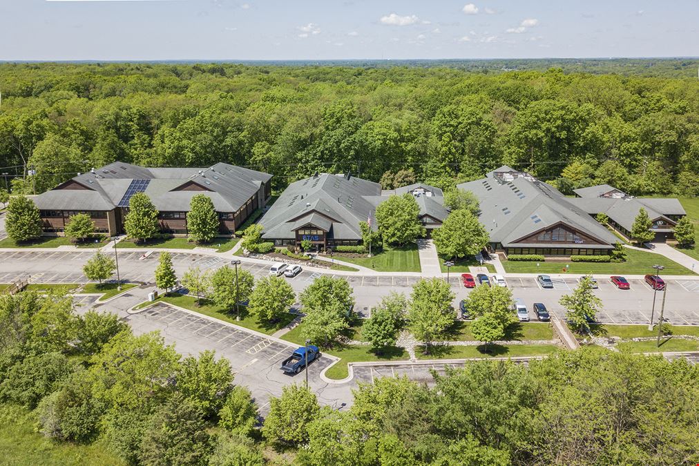 Forest Cove