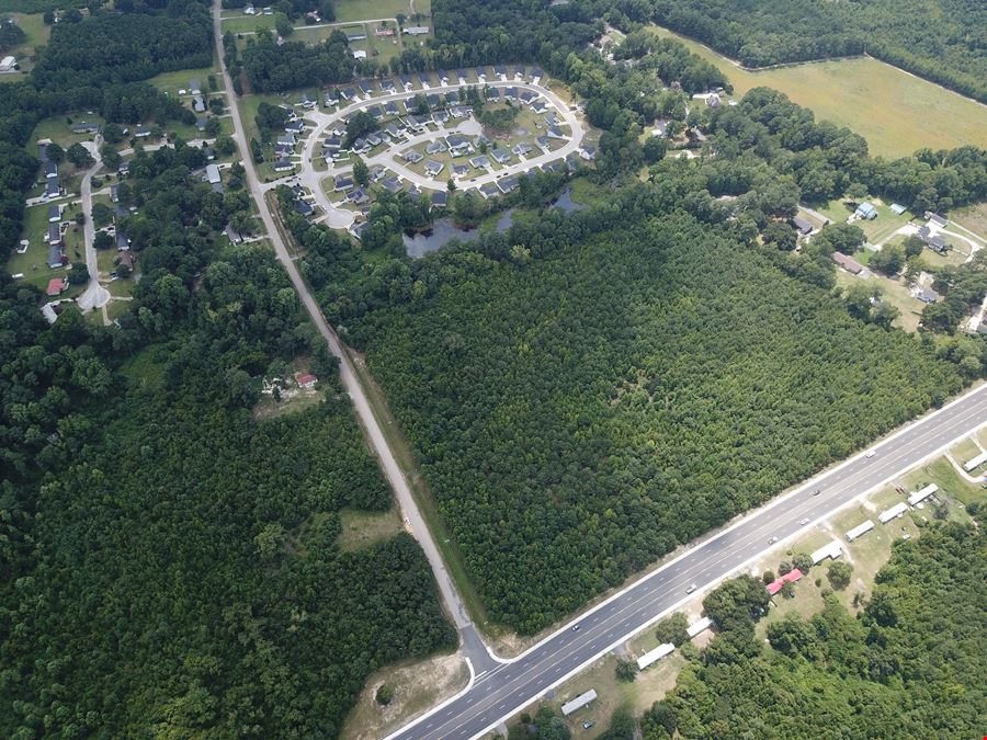 Alligator Rd