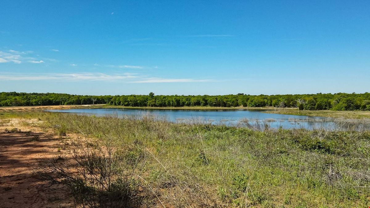 SEC TX-7 Loop & FM 2494